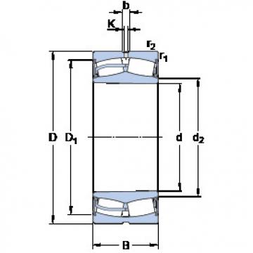 Spherical Roller Bearings 22244-2CS5K/VT143 SKF