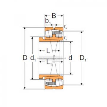 Spherical Roller Bearings 22320 ACKMBW33+AH2320X MPZ