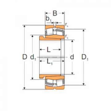 Spherical Roller Bearings 22311 KW33+AH2311X MPZ