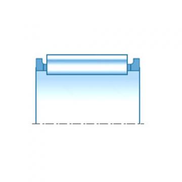 Needle Roller Bearing Manufacture PK10X14X9.8 NTN