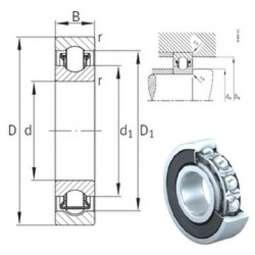 needle roller thrust bearing catalog BXRE006-2HRS INA