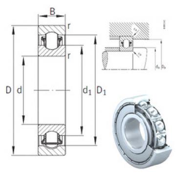 needle roller thrust bearing catalog BXRE007-2Z INA
