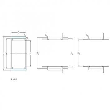 Needle Roller Bearing Manufacture RNAO22x30x13 SKF