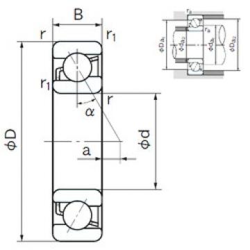 angular contact ball bearing installation 7304B NACHI