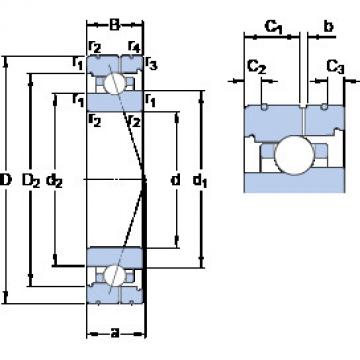 Angular Contact Ball Bearings 71910 CB/P4AL SKF