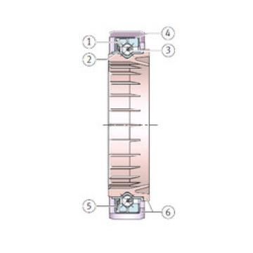 angular contact ball bearing installation F-203501.1 INA