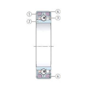 angular contact ball bearing installation F-552317.01 INA