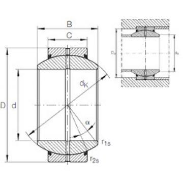 plain bushings bearings GE 100 FO-2RS INA