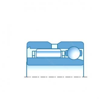 Complex Bearings NKIA5904A NTN