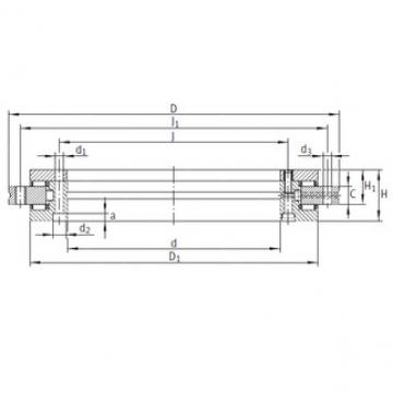 Complex Bearings RTC120 INA