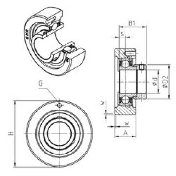 Bearing housed units ESC202 SNR