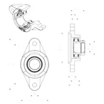 Bearing housed units ESFLZ202 SNR