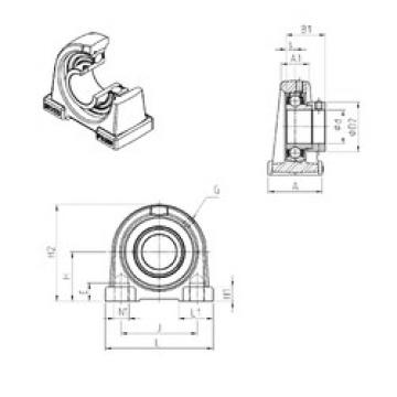 Bearing housed units ESPAE209 SNR