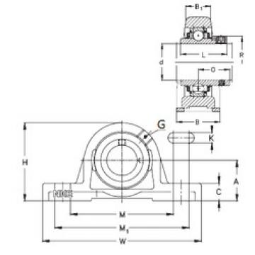 Bearing housed units PASEY17 NKE