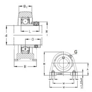 Bearing housed units PSHE15 NKE