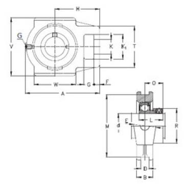 Bearing housed units PTUE35 NKE