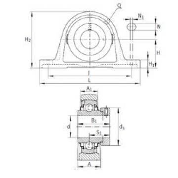 Bearing housed units RAK1 INA