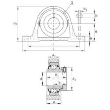 Bearing housed units RASE1-1/8 INA