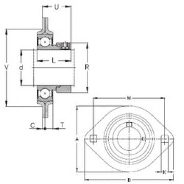 Bearing housed units RAT12 NKE