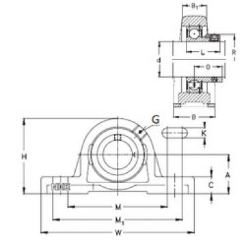 Bearing housed units RASE100 NKE