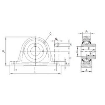 Bearing housed units RASEL30-N INA