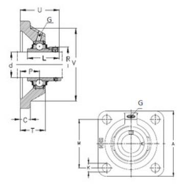 Bearing housed units RCJ100 NKE