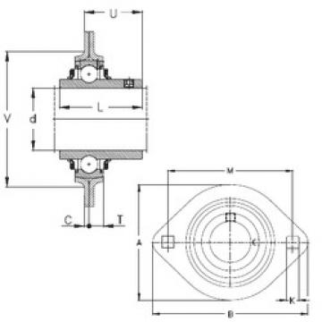 Bearing housed units RRTY16 NKE