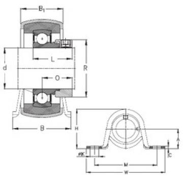 Bearing housed units RPB17 NKE