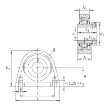 Bearing housed units RSHE35-N INA