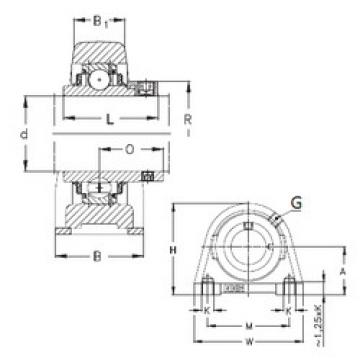 Bearing housed units RSHEY30-N NKE