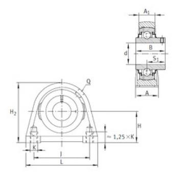 Bearing housed units RSHEY17 INA