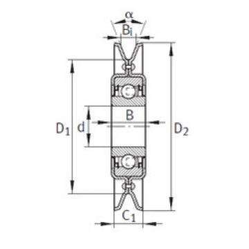 Bearing housed units RSRA13-129-L0-L114 INA