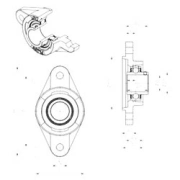 Bearing housed units UCFLZ206 SNR