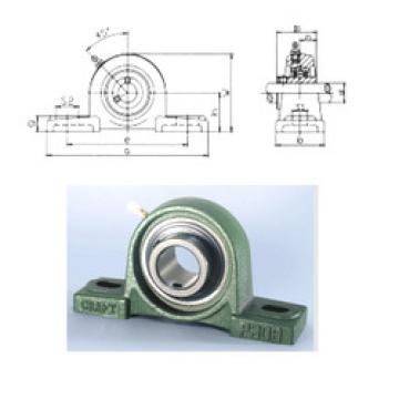 Bearing housed units UCP310 CRAFT