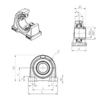 Bearing housed units UCPAE201 SNR