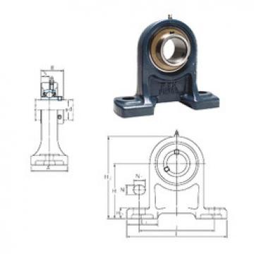 Bearing housed units UCPH201 FYH