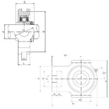 Bearing housed units UKT206 CX