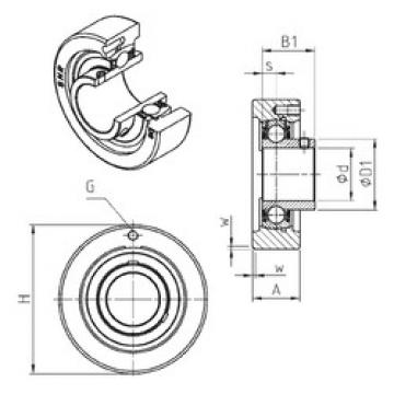 Bearing housed units USC206 SNR