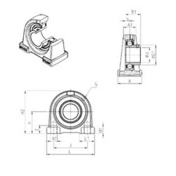 Bearing housed units USPAE204 SNR