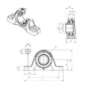 Bearing housed units USPE207 SNR