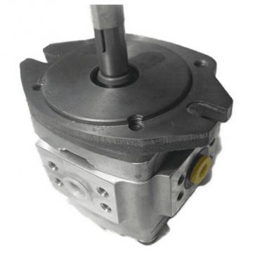 NACHI PVS Series Piston Pump PVD-0B-20P-6G-4939A    
