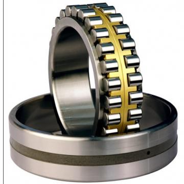 CYLINDRICAL ROLLER BEARINGS TWO Row NNU40/530MAW33 NNU49/670MAW33