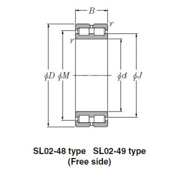 SL Type Cylindrical Roller Bearings NTN SL01-4968