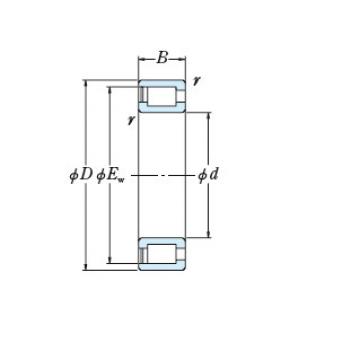 FULL-COMPLEMENT CYLINDRICAL ROLLER BEARINGS JAPAN NCF1856V