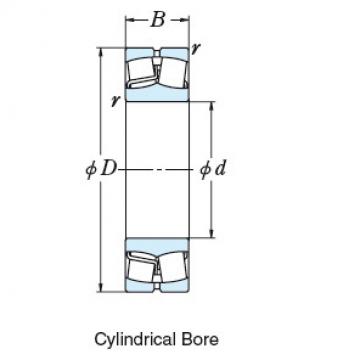 SPHERICAL ROLLER BEARINGS ELEMENTS 1120SL1561E4