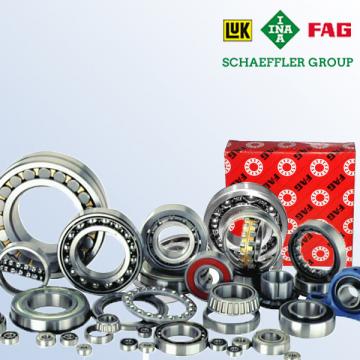 FAG bearing mcgill fc4 Cylindrical roller bearings - N1918-K-M1-SP