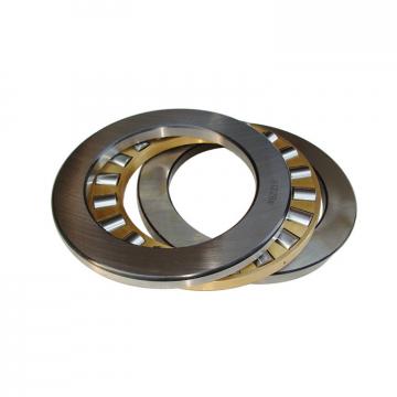 NJ2244EMA Cylindrical Roller tandem thrust bearing 220*400*108mm