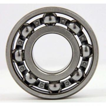 4.0039-185-2RS / 40039-185-2RS Combined Roller Bearing 80*185*95mm