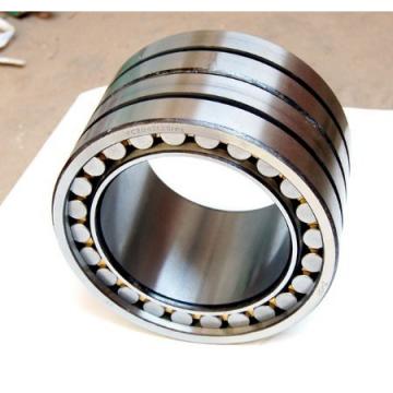 025-11 Cylindrical Roller Bearing 25x59x24mm