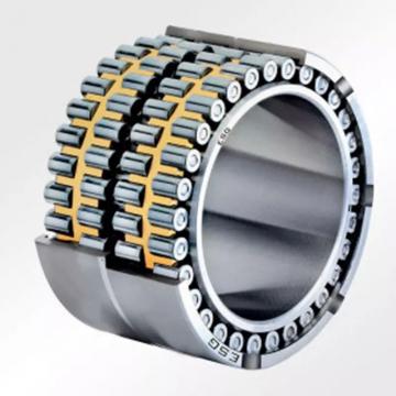 NJ3/28AN Cylindrical Roller Bearing 28x62x21mm